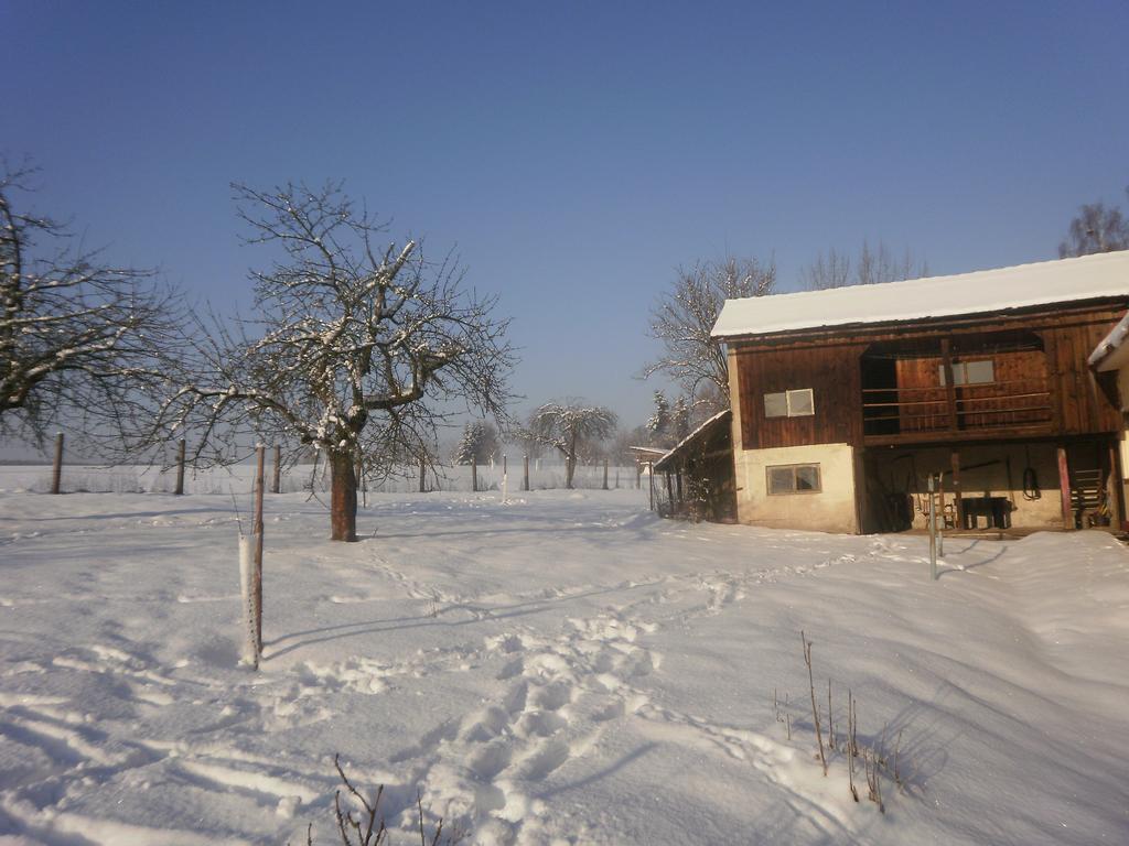 Holiday home Familiehuis Fuchs